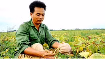 Vốn ngân hàng “thay áo” những vùng quê