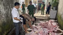 Bài 1: Vạch mặt những kẻ trục lợi trên sức khỏe cộng đồng