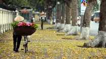 Ngày mai phố còn như cũ