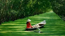 Đồng bằng