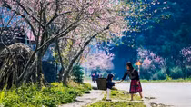 Ba miền nắng đẹp ngày mùng 4 Tết, Hà Nội sáng và đêm trời rét