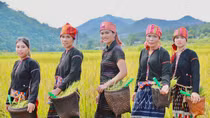 Những động lực mới ở vùng cao Quảng Trị