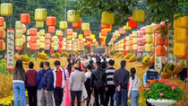 Đảm bảo an ninh, an toàn, phục vụ đông đảo khách du lịch trong dịp Tết