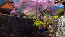 Ta như Nguyên đán của nhau