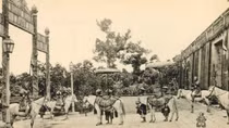 Vó ngựa thời gian