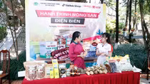 "Hành trình Nông sản Điện Biên" thúc đẩy ứng dụng thương mại điện tử