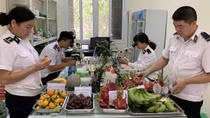 Tạm lùi thực hiện Nghị định 46 đến khi Luật An toàn thực phẩm sửa đổi có hiệu lực