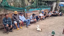 Tây Ninh: Xoá tụ điểm đá gà ăn tiền từ sáng sớm