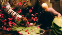 Đợi Tết