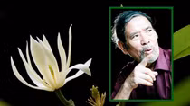 Có một nhà văn Lê Lựu “khác”