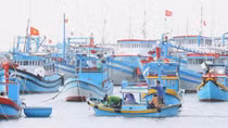Bài 4: Ngư dân, doanh nghiệp xoay trục tiết kiệm ứng phó với giá nhiên liệu