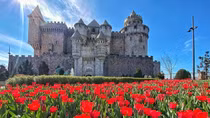 Sun World Ba Na Hills lần đầu ươm trồng 1 triệu bông tulip trên đỉnh núi đón Tết Nguyên đán 2026