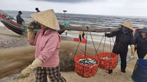 Cùng ngư dân vùng cát đón lộc biển đầu năm