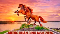Ngựa Xuân bên bờ sông Thạch Hãn
