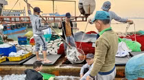 Vươn khơi đầu xuân, ngư dân miền Trung kỳ vọng trúng… “lộc biển”