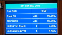 Người bị bạo lực trong vụ việc bạo lực gia đình, người có khó khăn đột xuất... được trợ giúp pháp lý