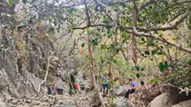 Công an vượt 3km đường rừng điều tra vụ phát hiện thi thể người
