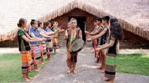 Bom Bo mùa xuân về
