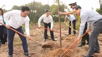 TP Huế phát động “Tết trồng cây đời đời nhớ ơn Bác Hồ”