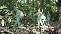 Giữ rừng như giữ nhà
