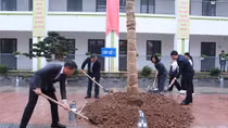 Ngành Giáo dục Hà Nội phấn đấu trồng mới 15.000 cây xanh