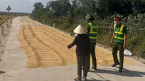 Hiểm hoạ từ việc người dân phơi thóc trên các tuyến giao thông