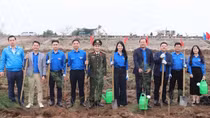 Tuổi trẻ Cục An ninh chính trị nội bộ hưởng ứng Tết trồng cây và Tháng Thanh niên tại Hưng Yên