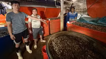 Hãi hùng 3 tấn thịt ốc bươu ngâm bằng hóa chất công nghiệp
