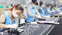 Thấp thỏm chờ thưởng Tết