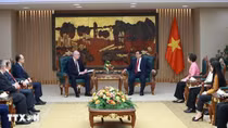 Thủ tướng Phạm Minh Chính tiếp Tổng Giám đốc Hãng thông tấn TASS