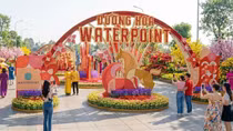 Hội Hoa Xuân Waterpoint 2026: Điểm đến văn hóa và trải nghiệm đặc sắc tại cửa ngõ phía Tây Sài Gòn