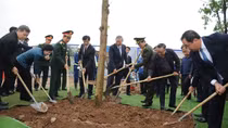 Phấn đấu để Hà Nội là “thành phố trong rừng, rừng trong thành phố”