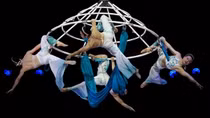 Khi Xiếc Việt “trở mình”