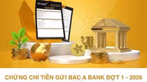 Thêm lựa chọn cho dòng tiền nhàn rỗi: BAC A BANK phát hành chứng chỉ tiền gửi, lãi suất lên tới 8,7% /năm