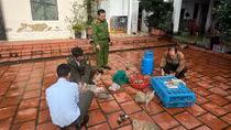 Phương thức, thủ đoạn mua bán, tiêu thụ động vật hoang dã (bài 1)