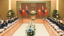 Việt Nam - Slovakia thúc đẩy hợp tác toàn diện, thực chất