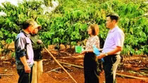 Tăng cường giám sát hoạt động tín dụng chính sách