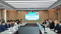 Đàm phán chuyển giao và nhận trở lại công dân Việt Nam- Ba Lan