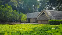 Ngày Bác trở về