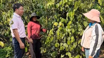Ngân sách địa phương tiếp thêm nguồn lực cho tín dụng chính sách
