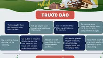 Trước khi bão số 10 đổ bộ, người dân cần làm gì để đảm bảo an toàn?
