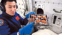 Nướng gà trên trạm vũ trụ