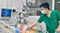 Hà Nội ghi nhận ca viêm não Nhật Bản thứ hai
