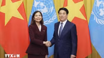 Liên hợp quốc luôn là người bạn gắn bó với Việt Nam trên chặng đường phát triển