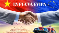 Hạ viện Ba Lan thông qua dự luật phê chuẩn Hiệp định Bảo hộ đầu tư giữa EU và Việt Nam