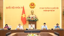 Tháo gỡ những điểm nghẽn trong giải quyết vụ việc phá sản