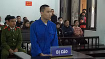 Cái giá của “những con ngựa thồ”