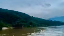 Tìm thấy thi thể nghi là tài xế xe đầu kéo bị nước lũ cuốn trôi ở Quảng Trị