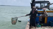 Khi “tử thần” đến từ… biển!