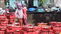 Những người gìn giữ vị mặn của biển